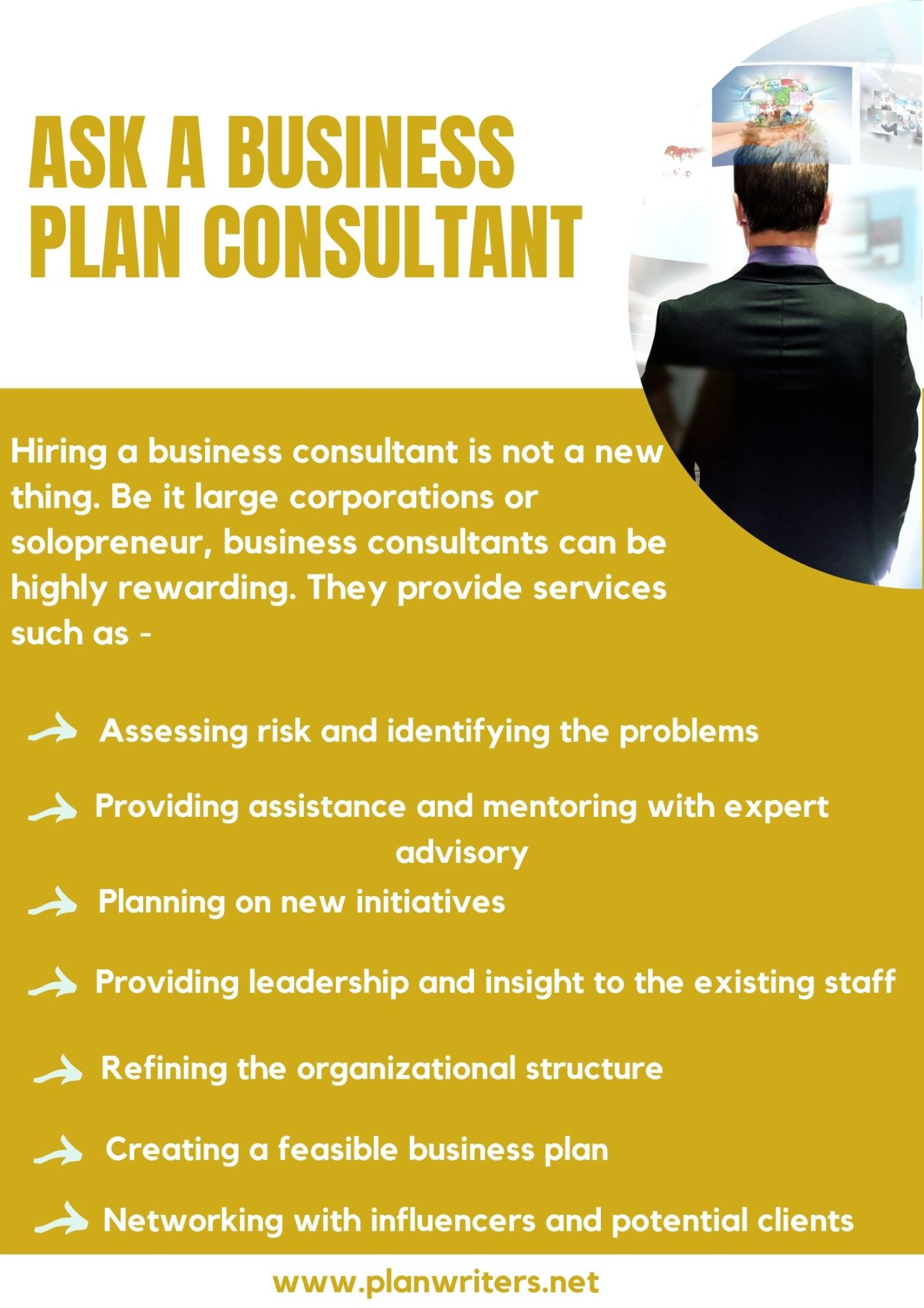 a business plan consultant